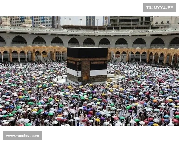 麦加朝觐惨剧：人死亡，原因尚待调查(2020年麦加朝觐在几月份)